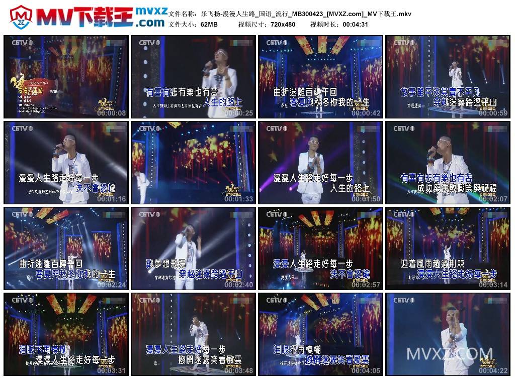 乐飞扬-漫漫人生路_国语_流行_MB300423